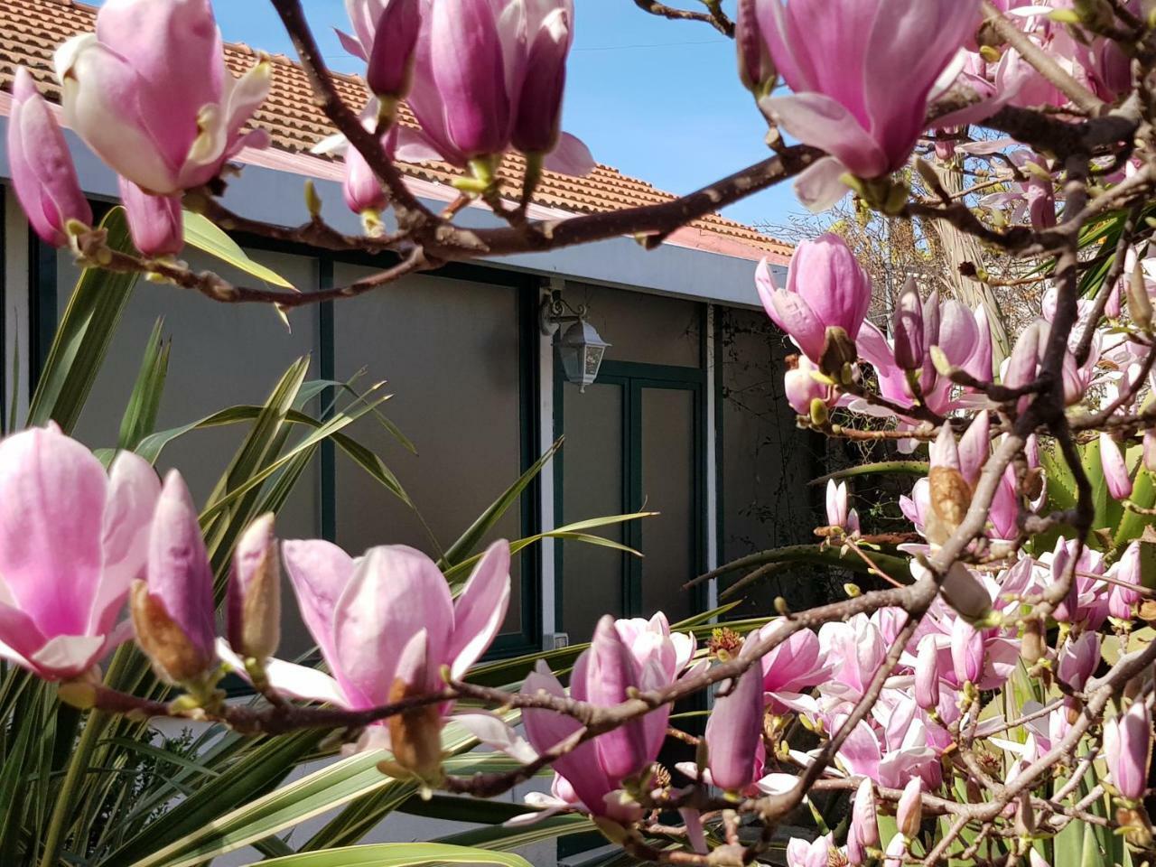 סורנטו Villa Kalimera מראה חיצוני תמונה