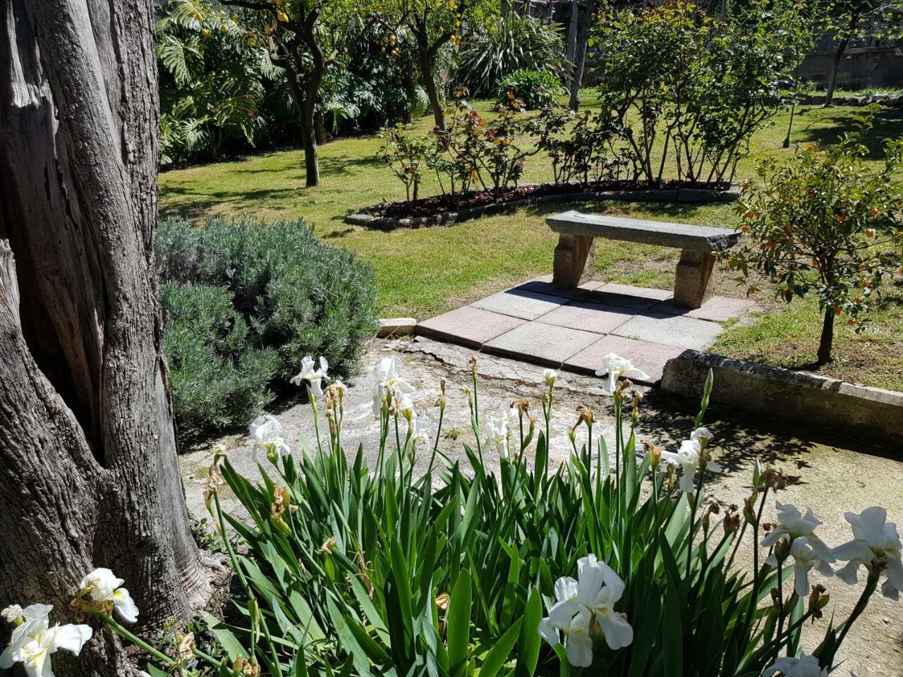 סורנטו Villa Kalimera מראה חיצוני תמונה